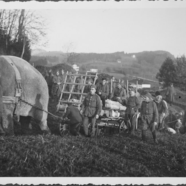 Während dem 2. Weltkrieg arbeiteten die Elefanten für die Schweizer Armee.